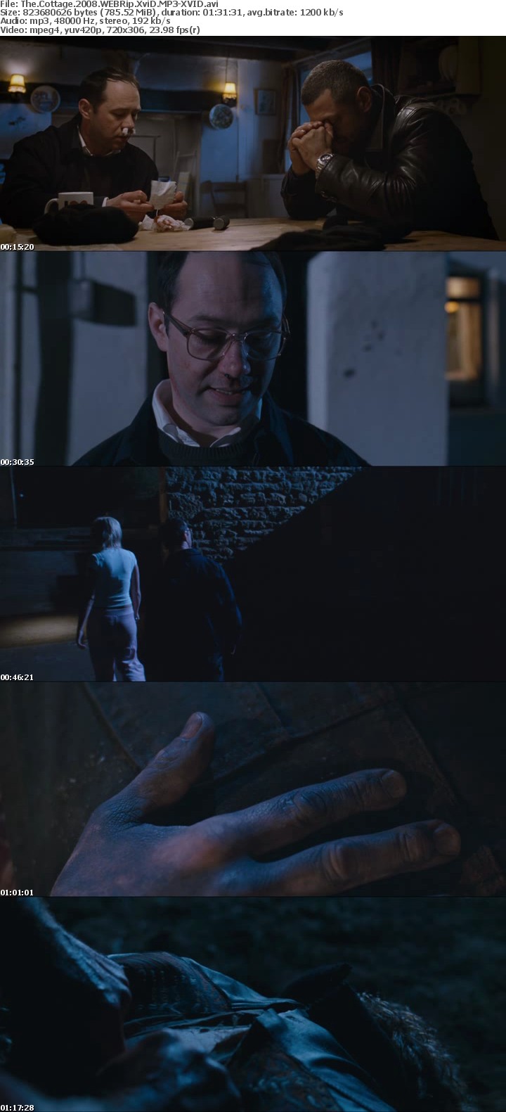 The Cottage 2008 WEBRip XviD MP3-XVID The Cottage 2008 WEBRip XviD MP3-XVID