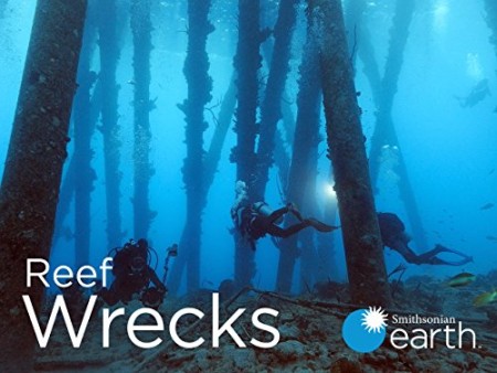 Reef Wrecks S01E05 Mexicos Artificial Reefs WEB h264-CAFFEiNE