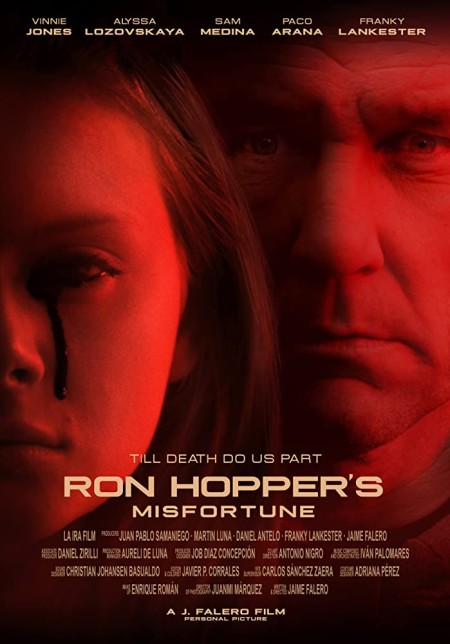 Ron Hoppers Misfortune (2020) 720p WEBRip 800MB x264-GalaxyRG