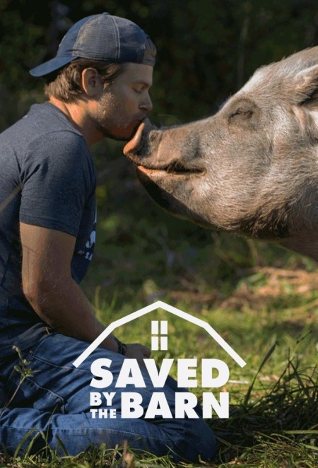 Saved By The Barn S01E08 Aqua Cow WEB h264-ROBOTS