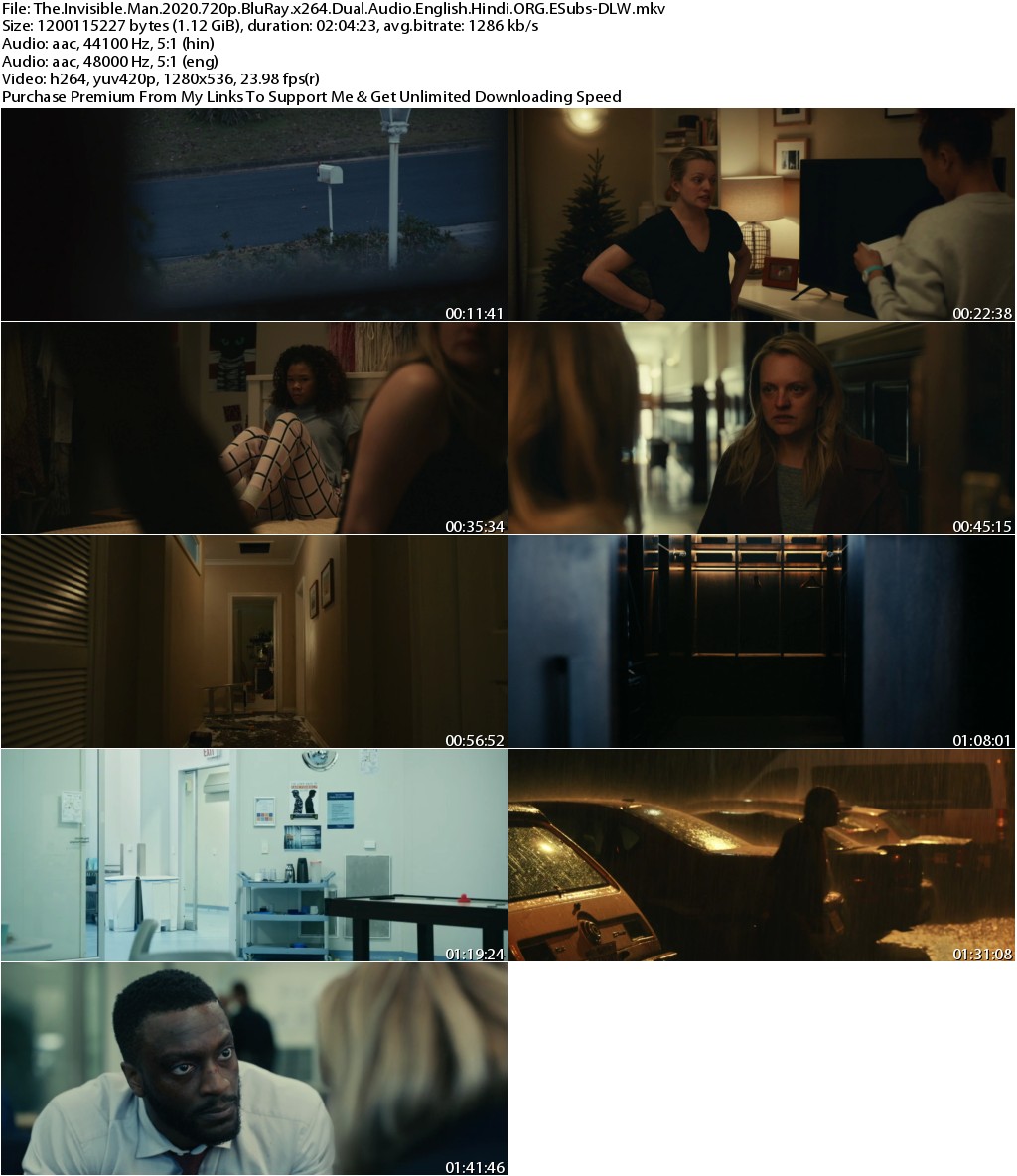 The Invisible Man (2020) 720p BluRay x264 Dual Audio English Hindi ORG ESubs-DLW