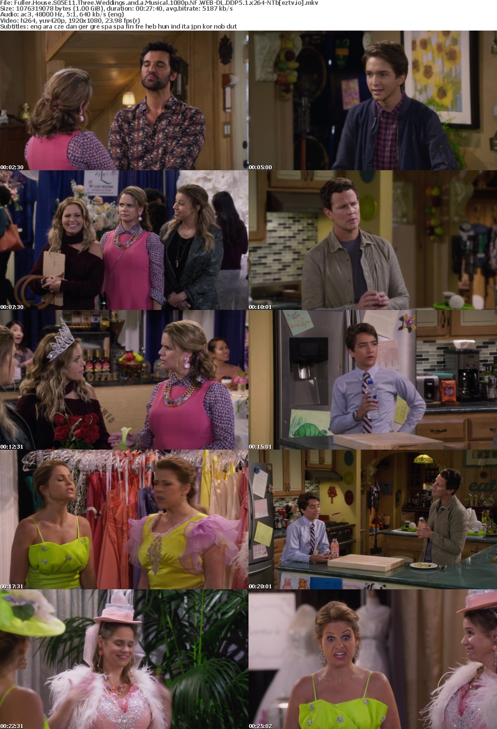 Fuller House S05E11 Three Weddings and a Musical 1080p NF WEB-DL DDP5 1 x264-NTb