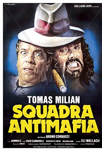 Little Italy 1978 ITALIAN WEBRip x264-VXT
