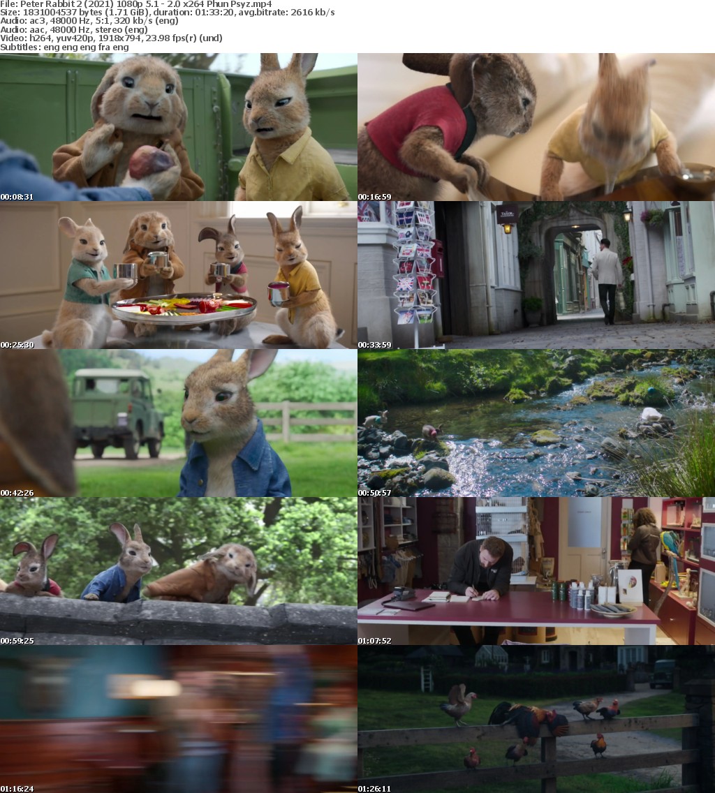 Peter Rabbit 2 (2021) 1080p 5 1 - 2 0 x264 Phun Psyz
