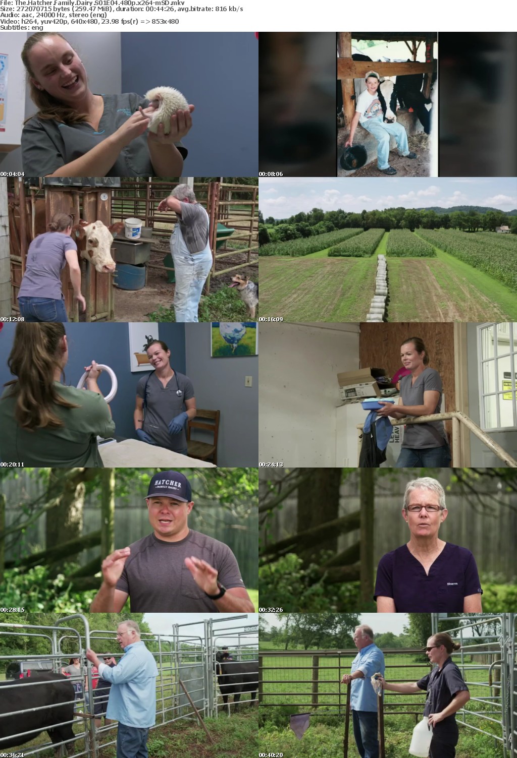 The Hatcher Family Dairy S01E04 480p x264-mSD