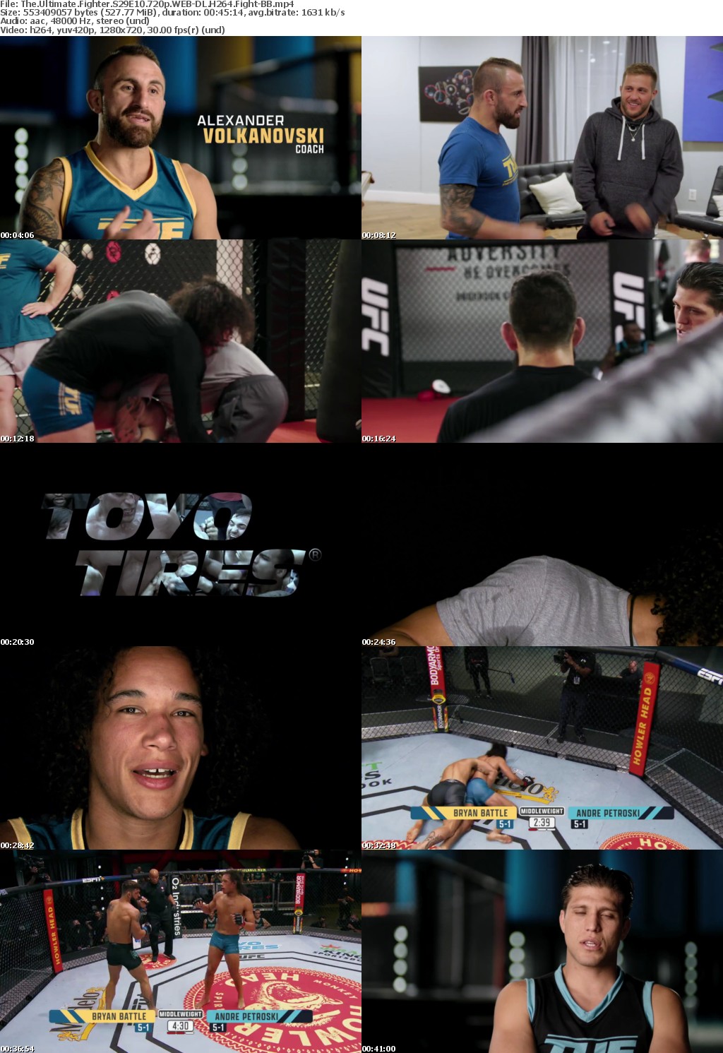 The Ultimate Fighter S29E10 720p WEB-DL H264 Fight-BB