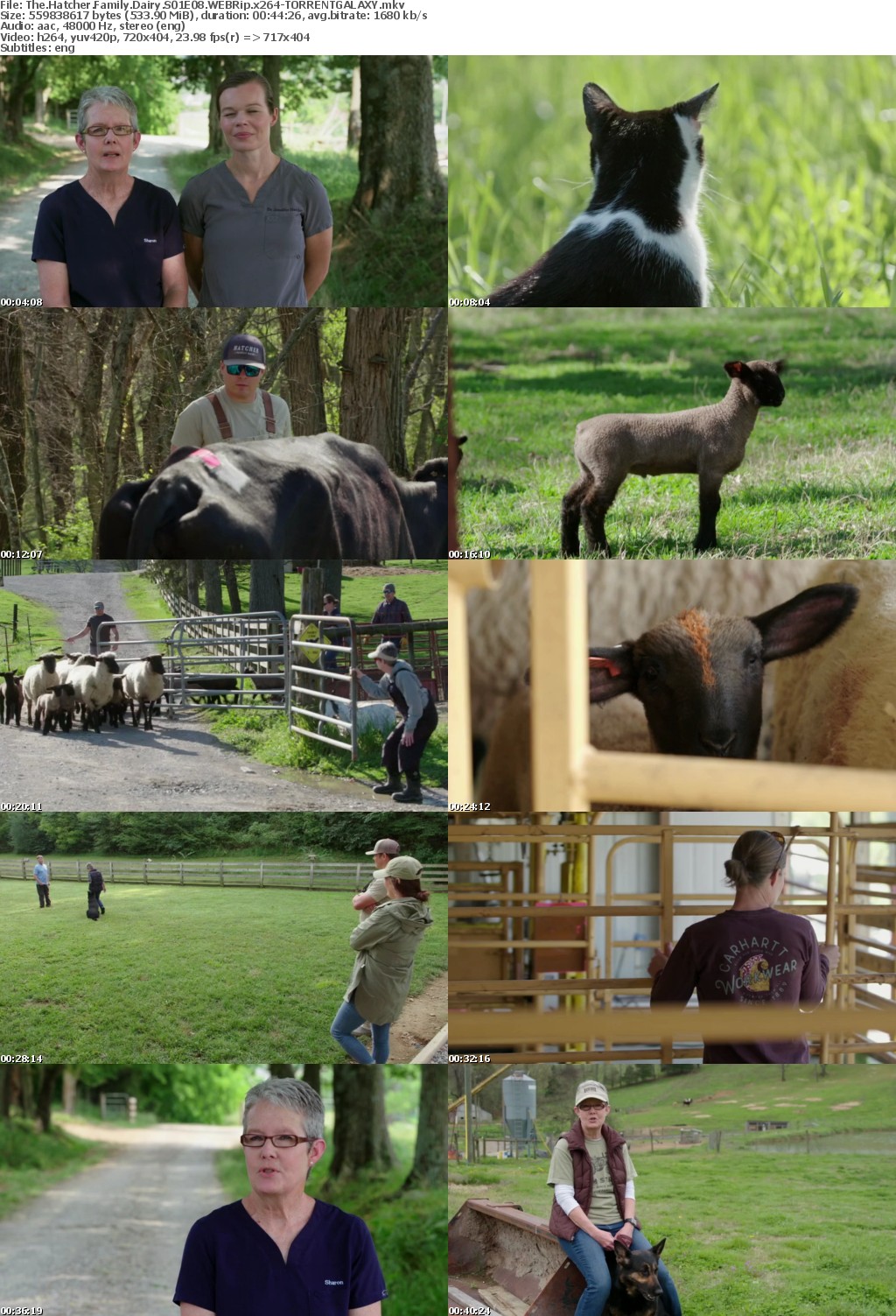 The Hatcher Family Dairy S01E08 WEBRip x264-GALAXY
