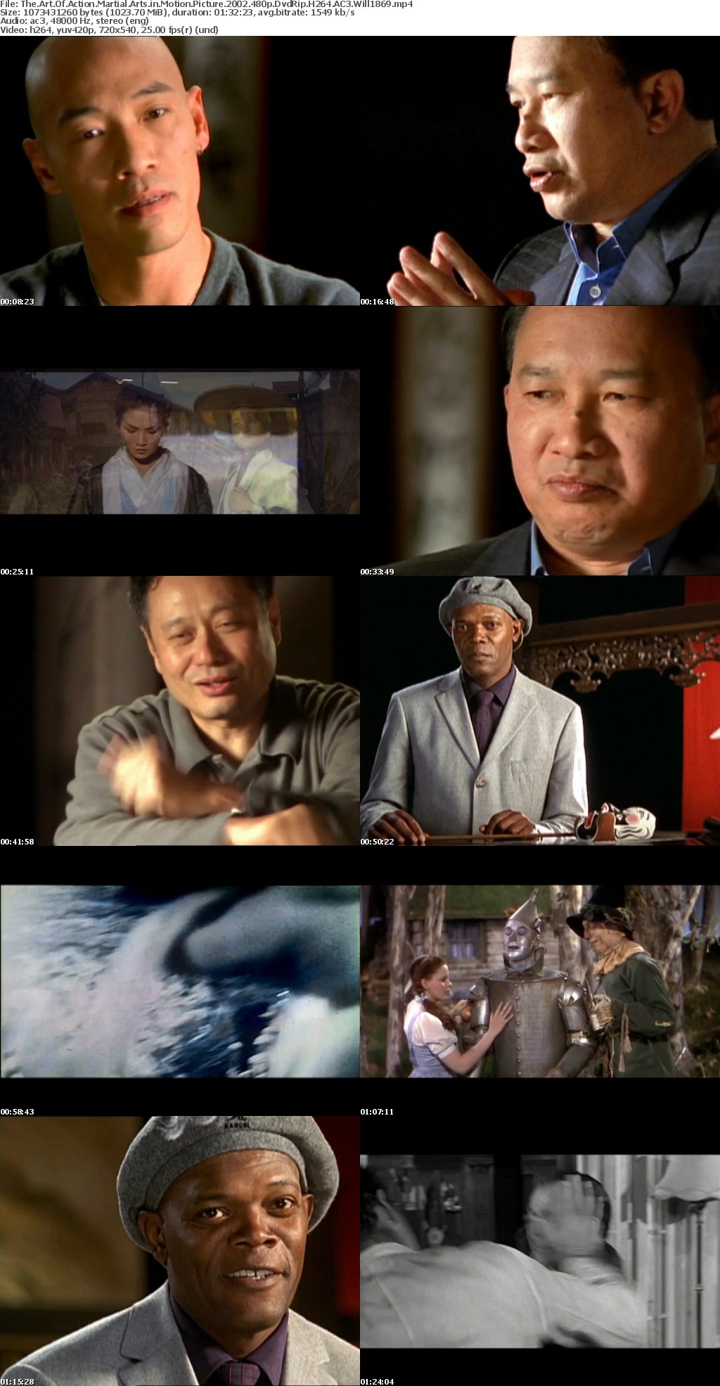 The Art Of Action Martial Arts in Motion Picture 2002 480p DvdRip H264 AC3 Will1869
