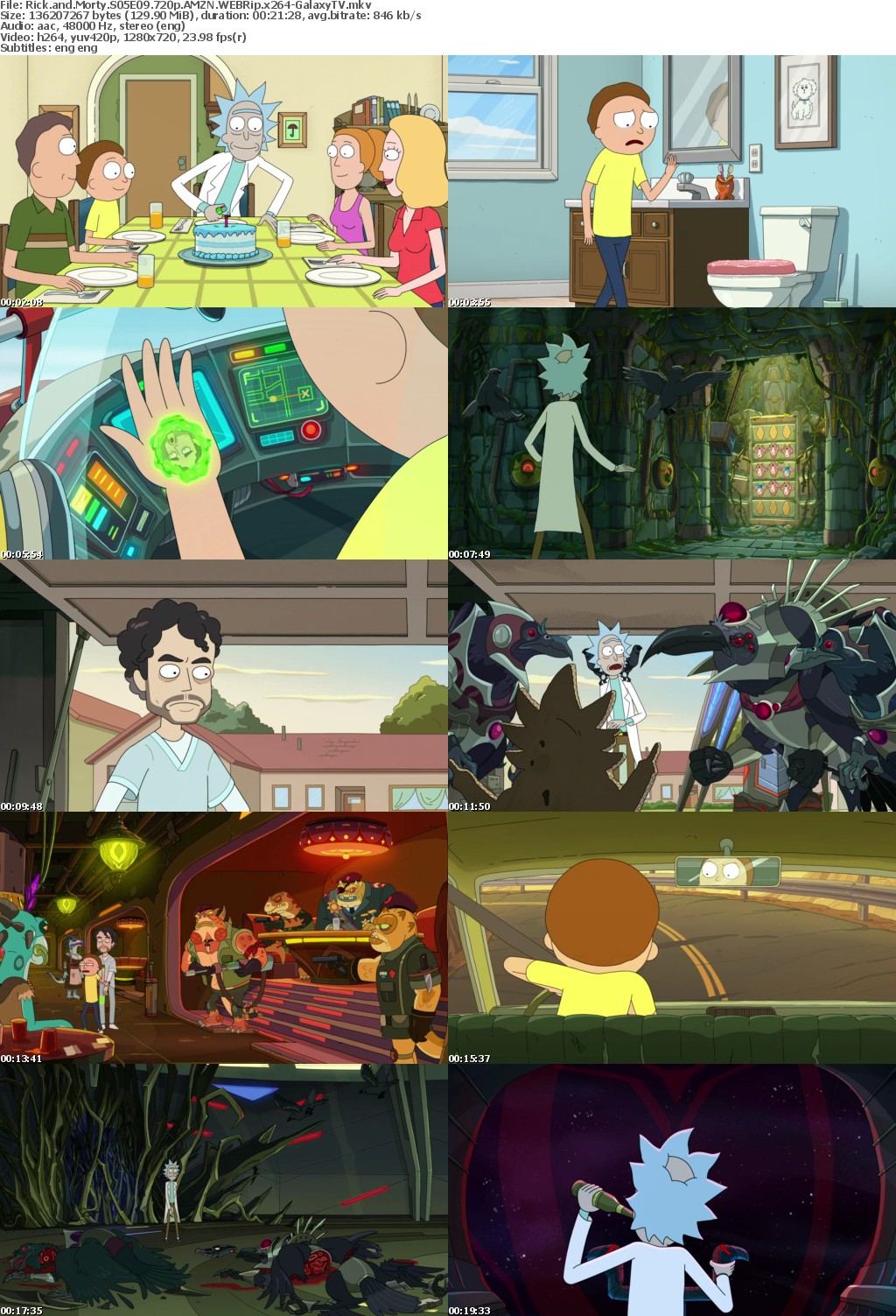 Rick and Morty S05 COMPLETE 720p AMZN WEBRip x264-GalaxyTV