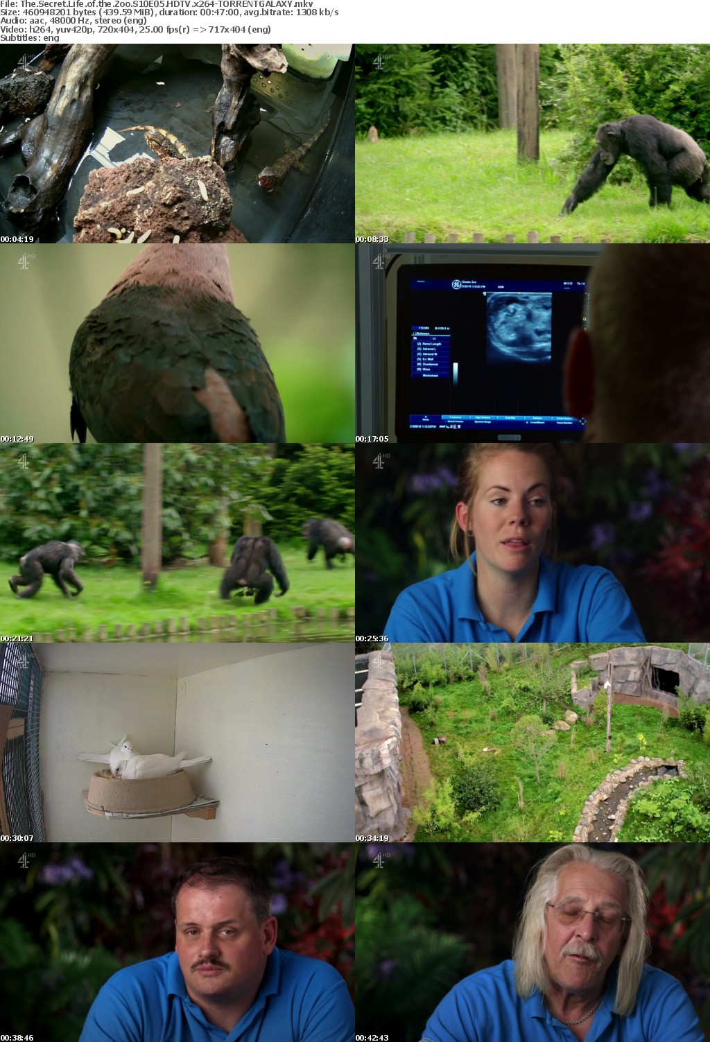 The Secret Life of the Zoo S10E05 HDTV x264-GALAXY