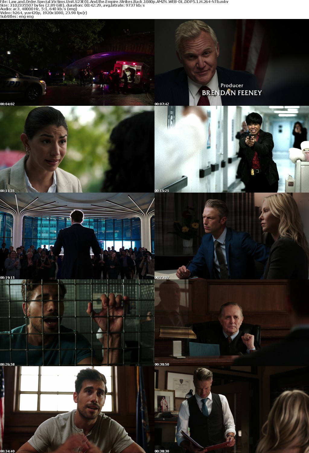 Law and Order SVU S23E01 And the Empire Strikes Back 1080p AMZN WEBRip DDP5 1 x264-BTN