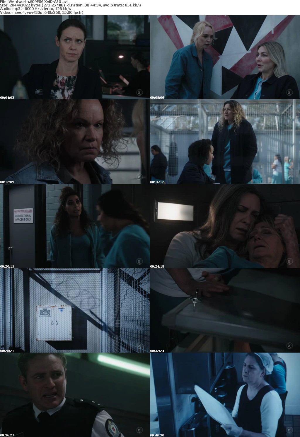 Wentworth S09E06 XviD-AFG