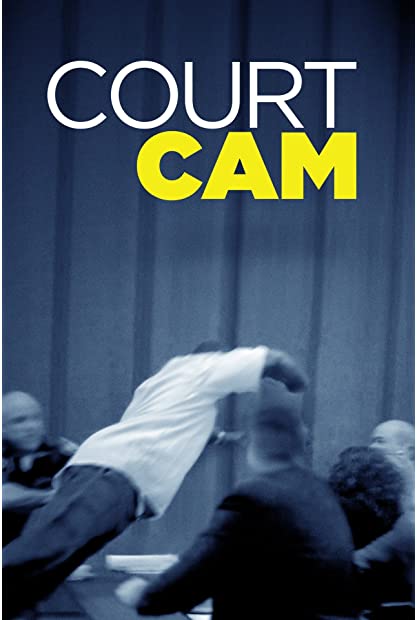 Court Cam S04E17 480p x264-mSD