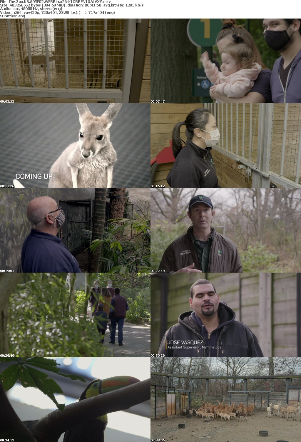 The Zoo US S05E02 WEBRip x264-GALAXY
