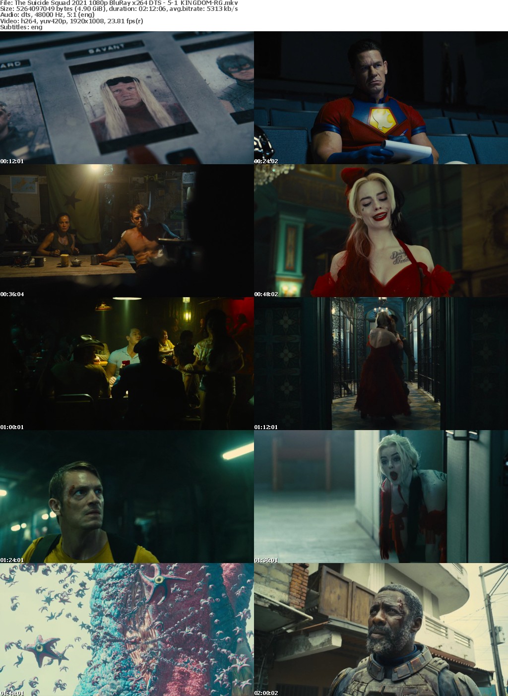 The Suicide Squad 2021 1080p BluRay x264 DTS - 5-1 KINGDOM-RG