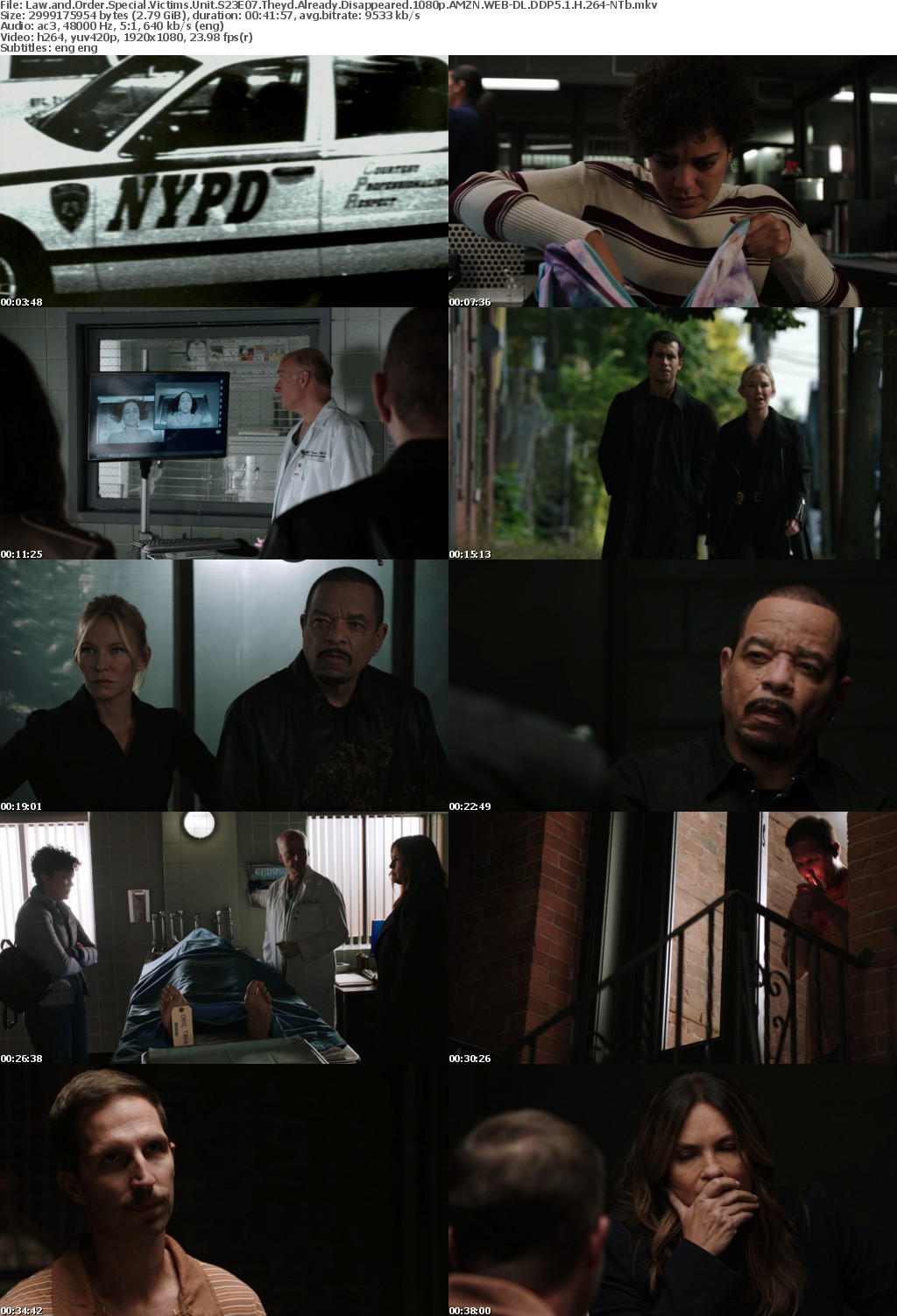 Law and Order SVU S23E07 Theyd Already Disappeared 1080p AMZN WEBRip DDP5 1 x264-BTN