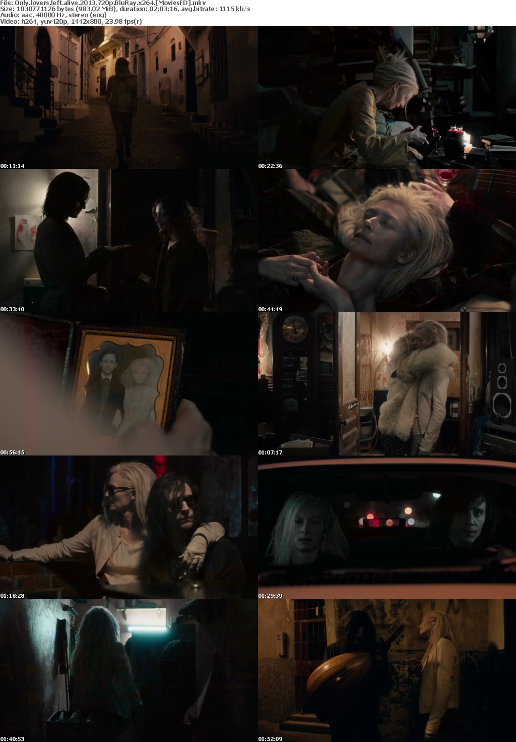 Only Lovers Left Alive (2013) 720p BluRay x264 - MoviesFD
