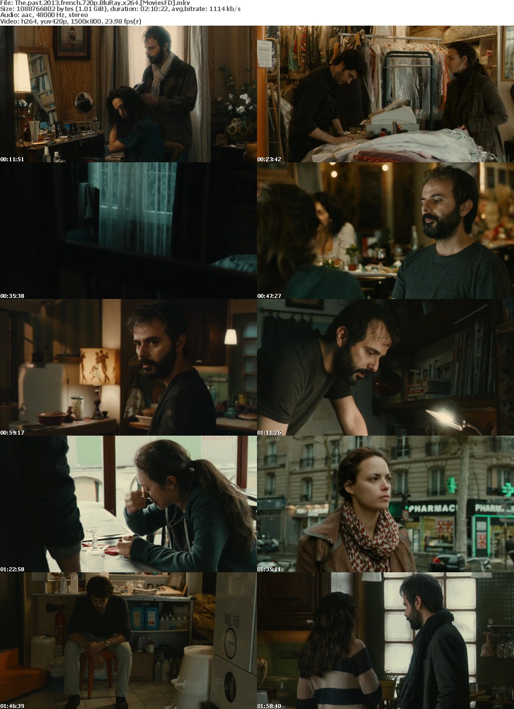 The Past (2013) French 720p BluRay x264 - MoviesFD