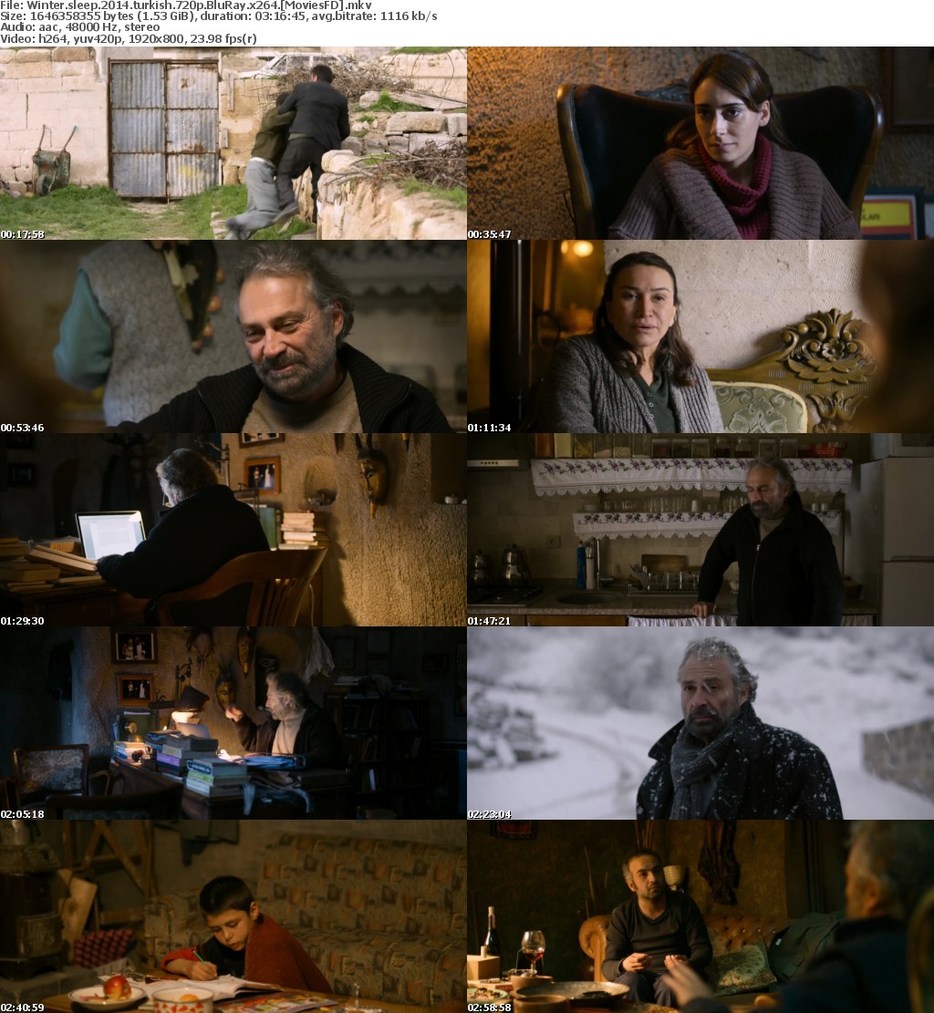 Winter Sleep (2014) Turkish 720p BluRay x264 - MoviesFD