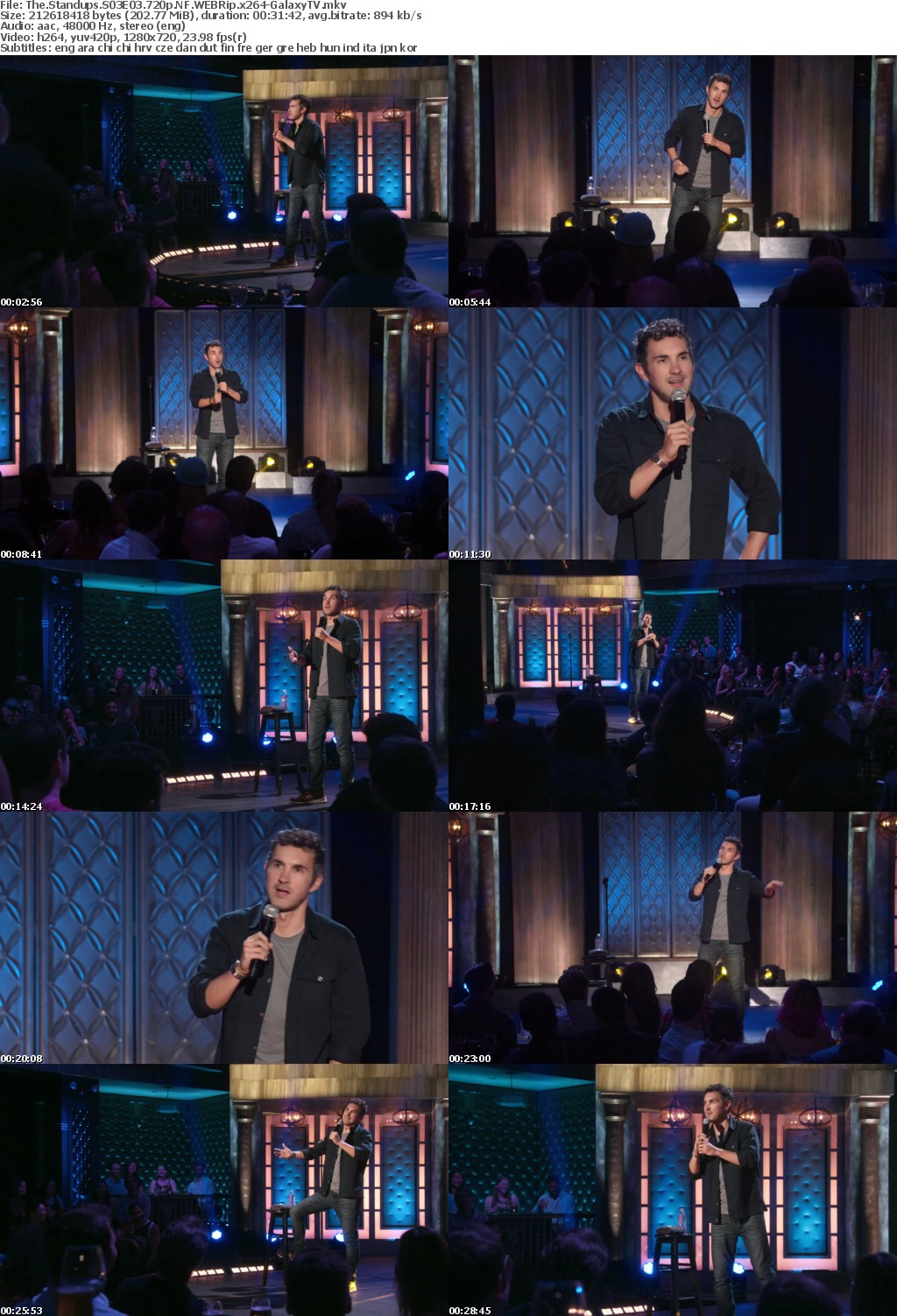 The Standups S03 COMPLETE 720p NF WEBRip x264-GalaxyTV