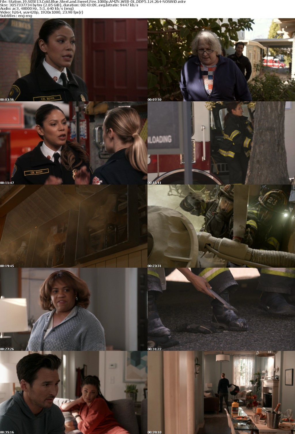 Station 19 S05E13 Cold Blue Steel and Sweet Fire 1080p AMZN WEBRip DDP5 1 x264-NOSiViD