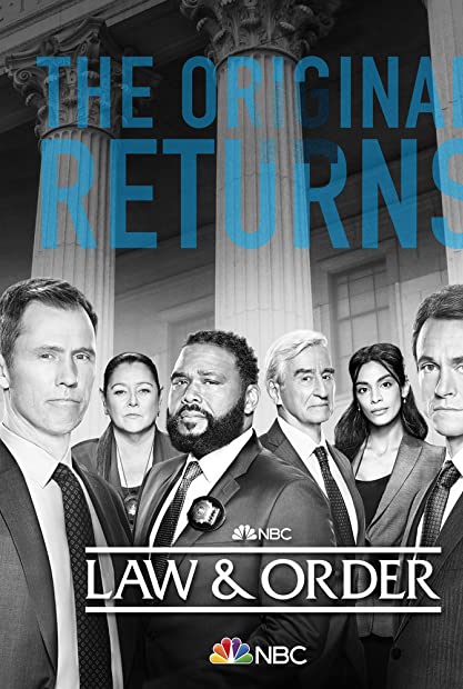 Law and Order S21E09 720p x265-T0PAZ