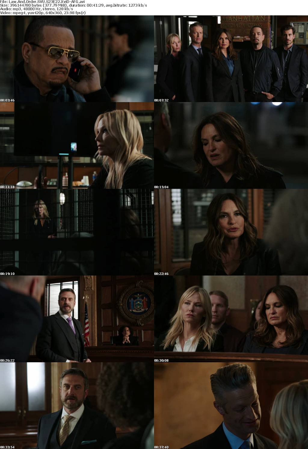 Law And Order SVU S23E22 XviD-AFG