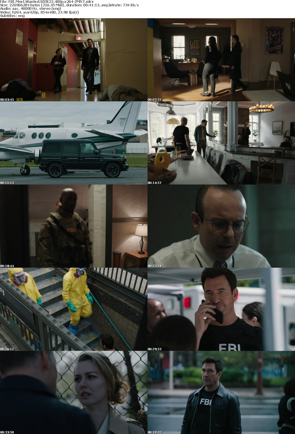 FBI Most Wanted S03E22 480p x264-ZMNT