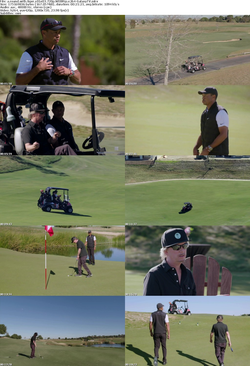 A Round With Tiger S01 COMPLETE 720p WEBRip x264-GalaxyTV