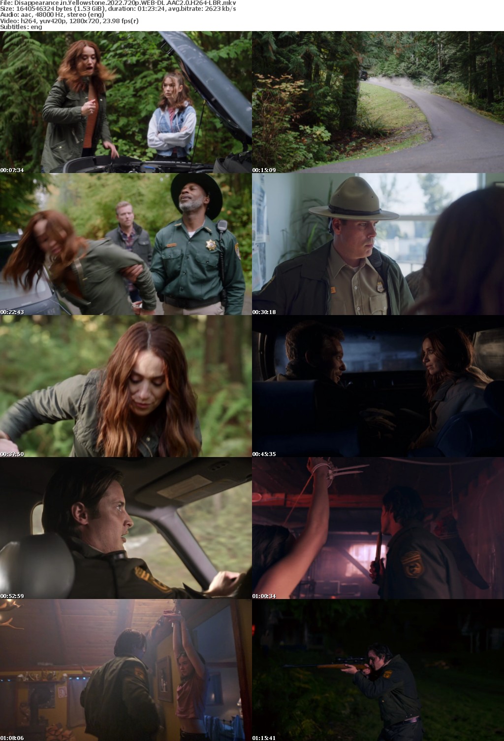 Disappearance In Yellowstone 2022 720p WEB-DL AAC2 0 H264-LBR