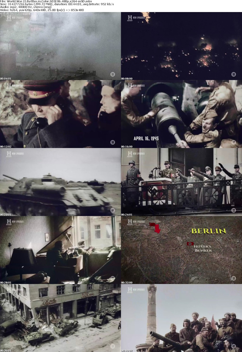 World War II Battles in Color S01E06 480p x264-mSD