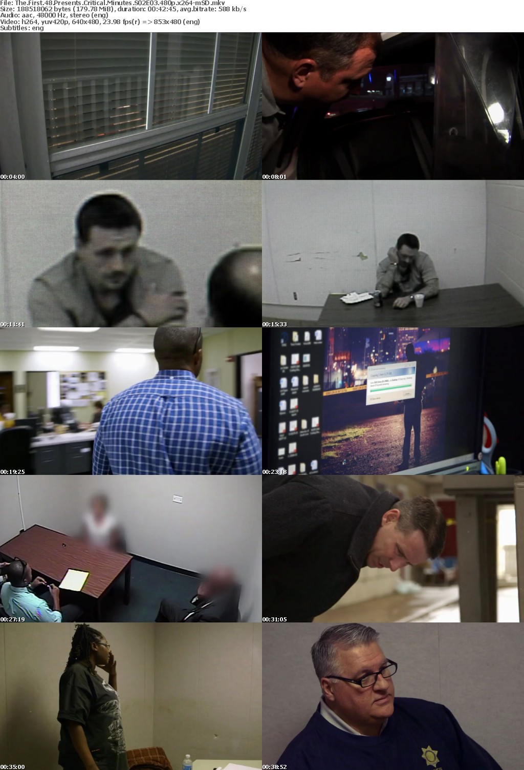 The First 48 Presents Critical Minutes S02E03 480p x264-mSD