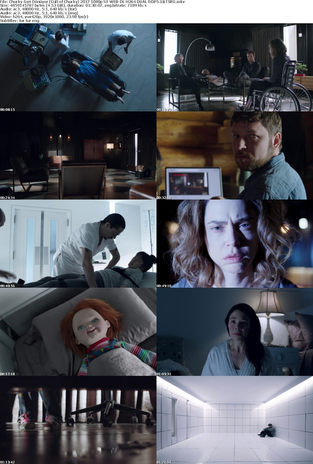 Cult of Chucky 2017 1080p NF WEB-DL H264 DUAL DDP5 1