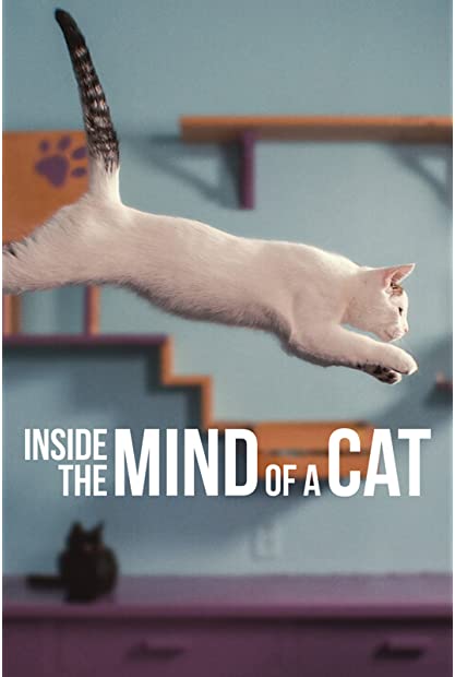 Inside the Mind of a Cat 2022 1080p x264-SURGE