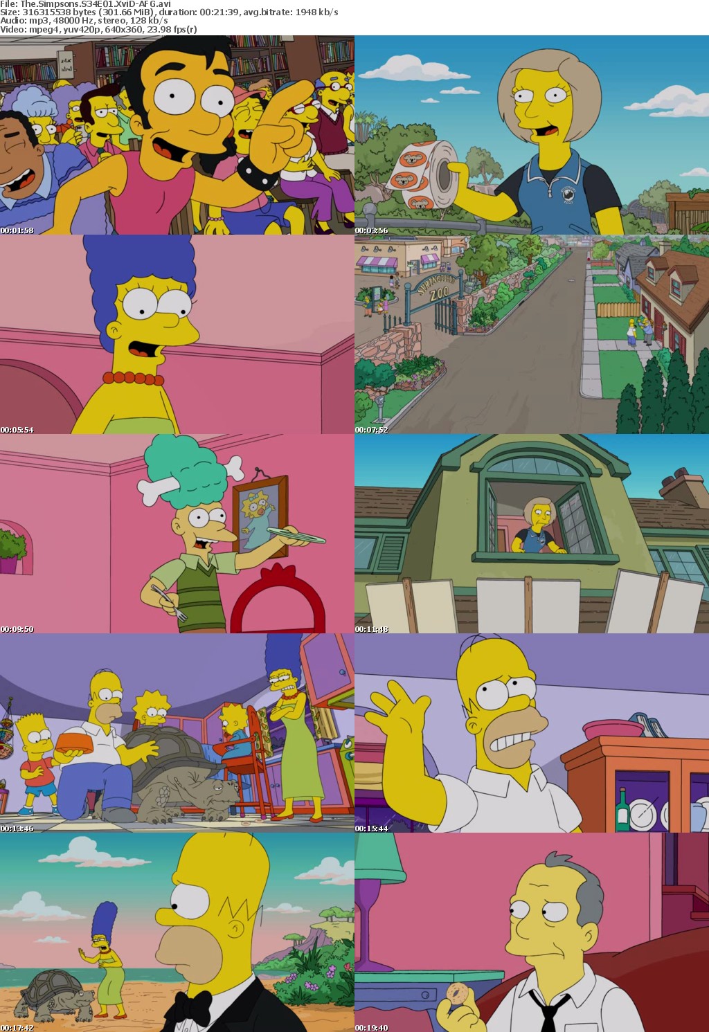 The Simpsons S34E01 XviD-AFG