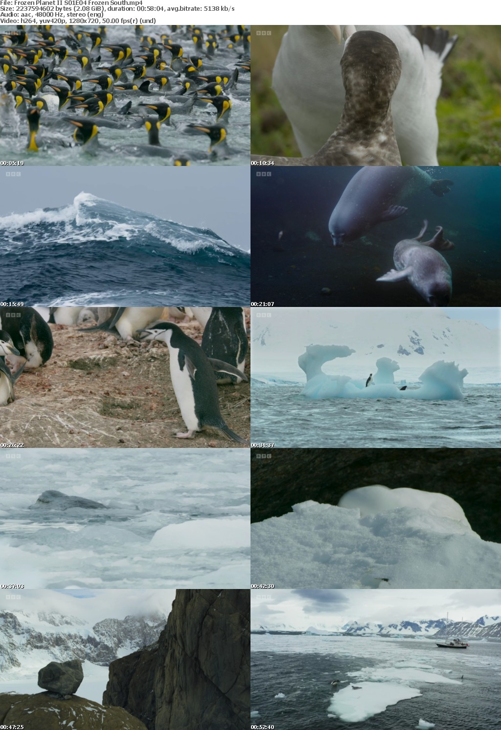 Frozen Planet II S01E04 Frozen South (1280x720p HD, 50fps, soft Eng subs)