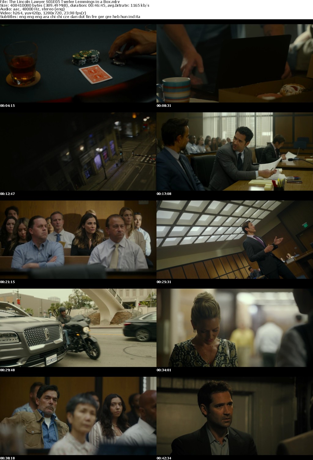 The Lincoln Lawyer 2022 Season 1 Complete 720p NF WEBRip x264 i c