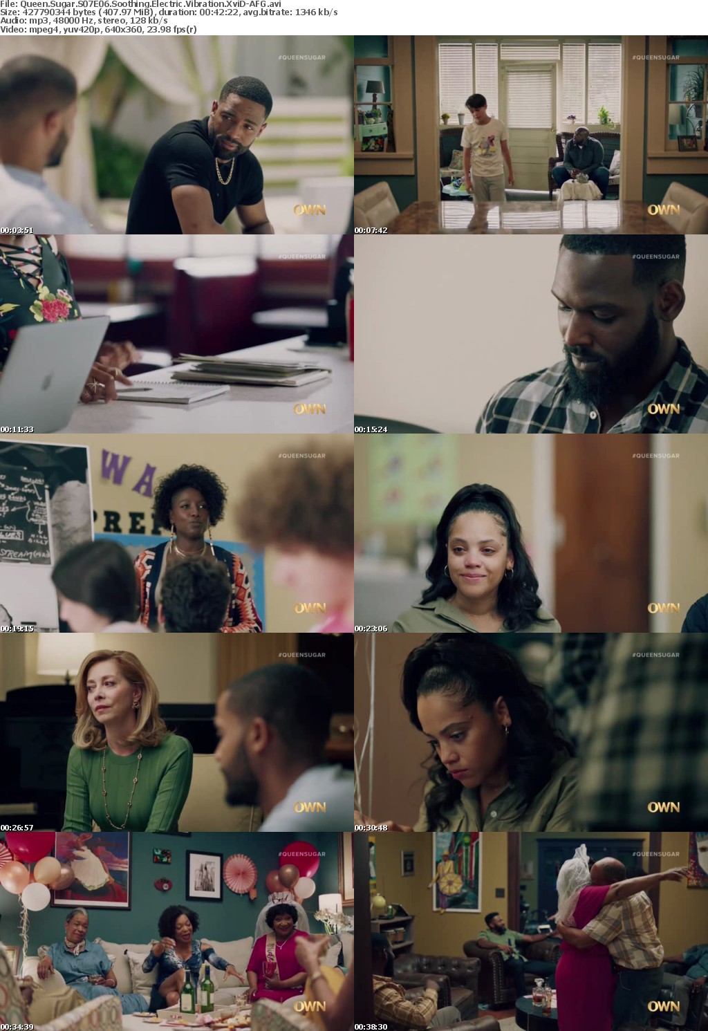Queen Sugar S07E06 Soothing Electric Vibration XviD-AFG