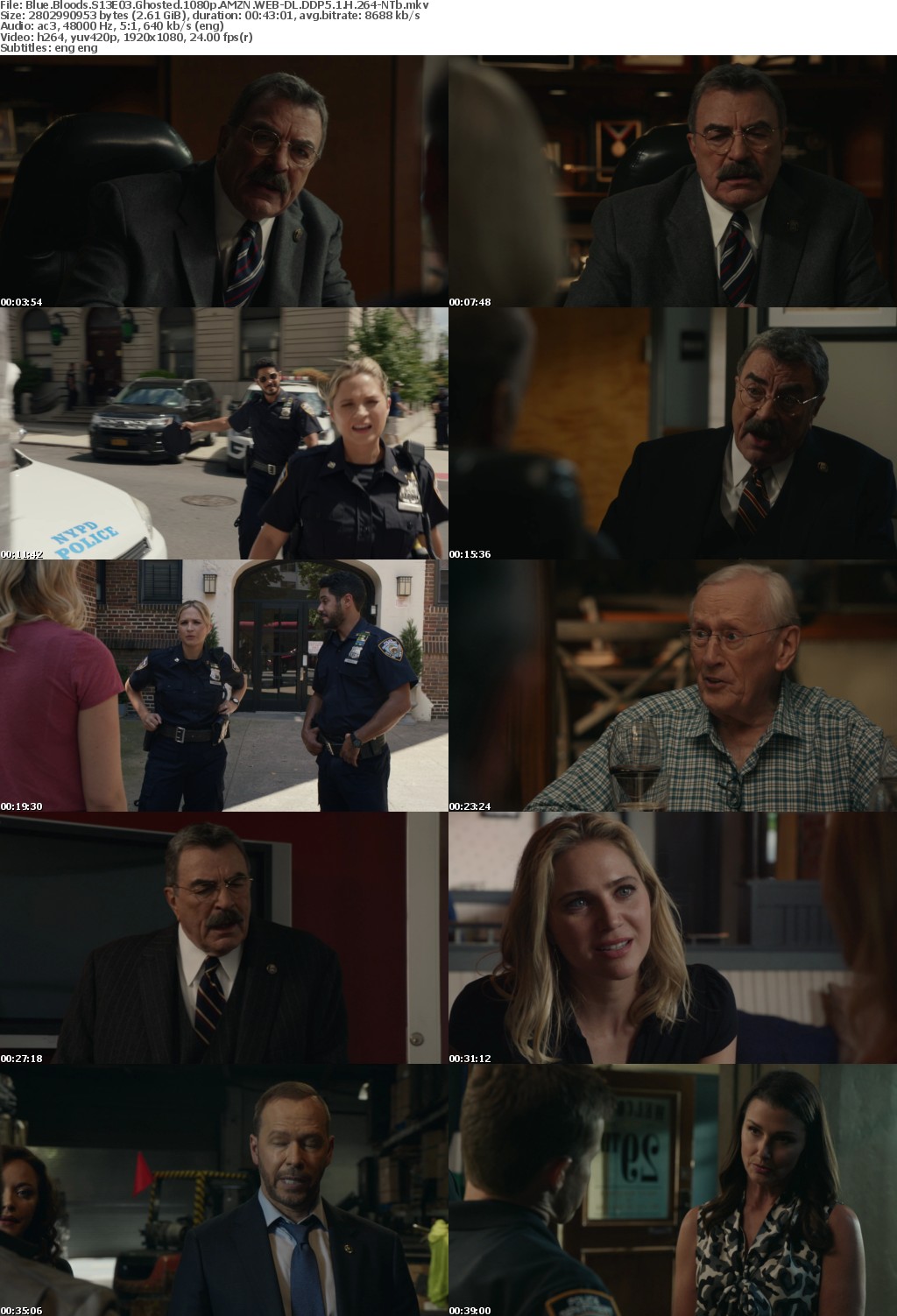 Blue Bloods S13E03 Ghosted 1080p AMZN WEBRip DDP5 1 x264-NTb