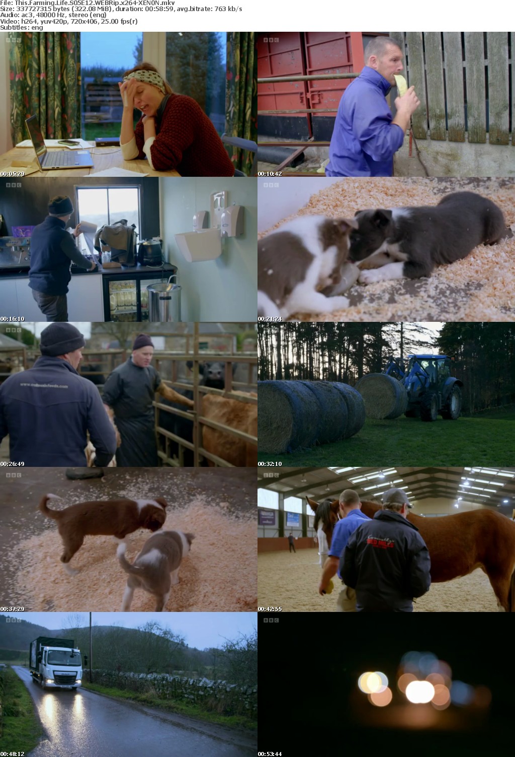 This Farming Life S05E12 WEBRip x264-XEN0N