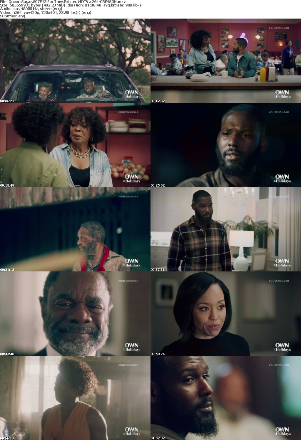 Queen Sugar S07E13 For They Existed HDTV x264-CRiMSON