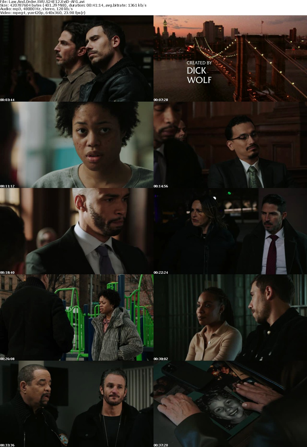 Law And Order SVU S24E12 XviD-AFG
