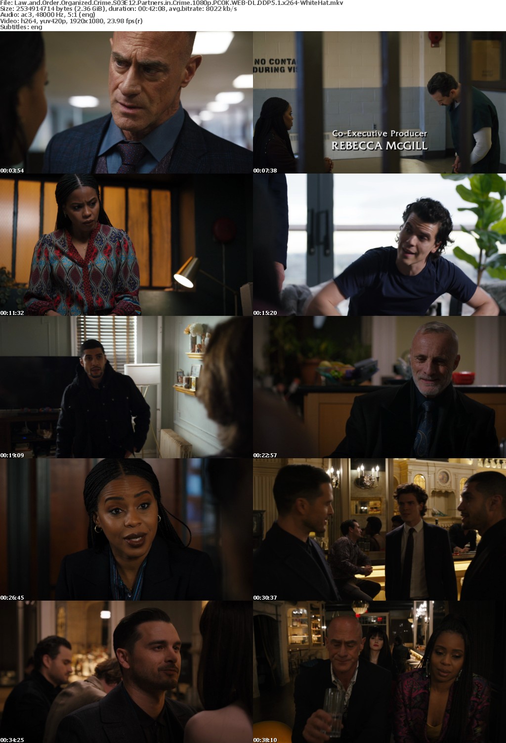 Law and Order Organized Crime S03E12 Partners in Crime 1080p PCOK WEBRip DDP5 1 x264-WhiteHat