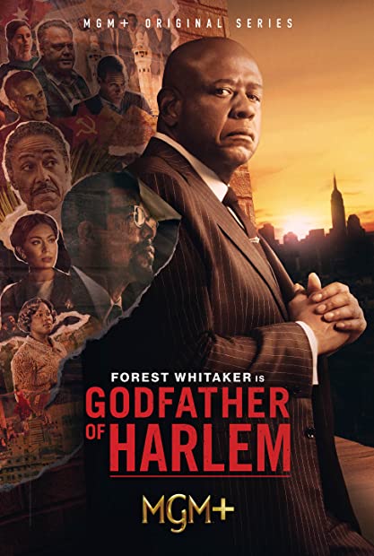 Godfather Of Harlem S03E04 XviD-AFG