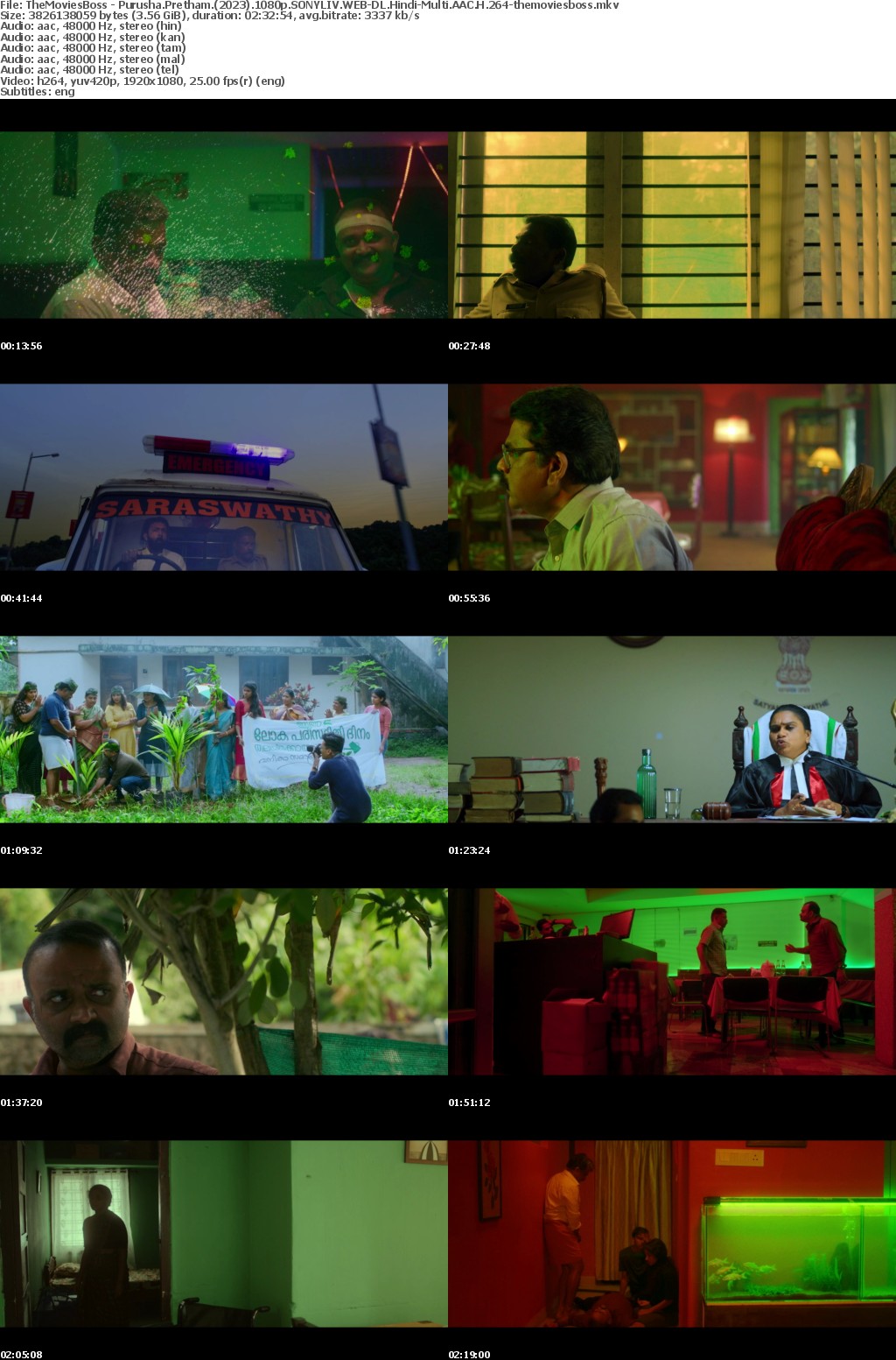 Purusha Pretham (2023) 1080p SONYLIV WEB-DL Hindi-Multi AAC H 264-themoviesboss