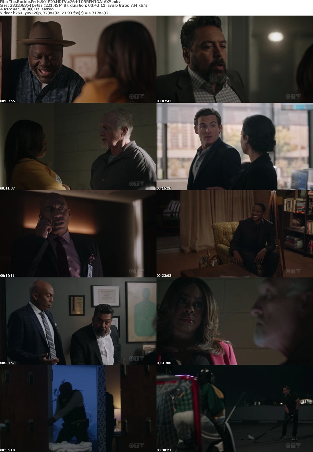 The Rookie Feds S01E20 HDTV x264-GALAXY