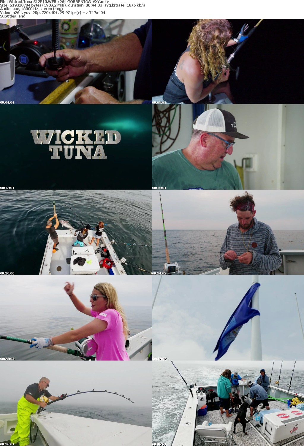 Wicked Tuna S12E10 WEB x264-GALAXY