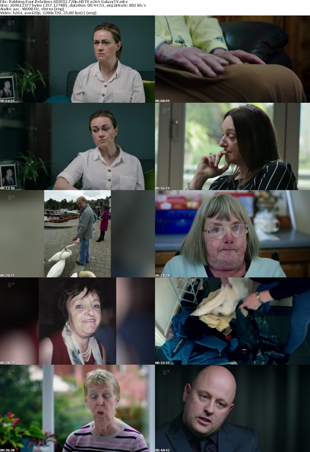 Robbing Your Relatives S02 COMPLETE 720p HDTV x264-GalaxyTV