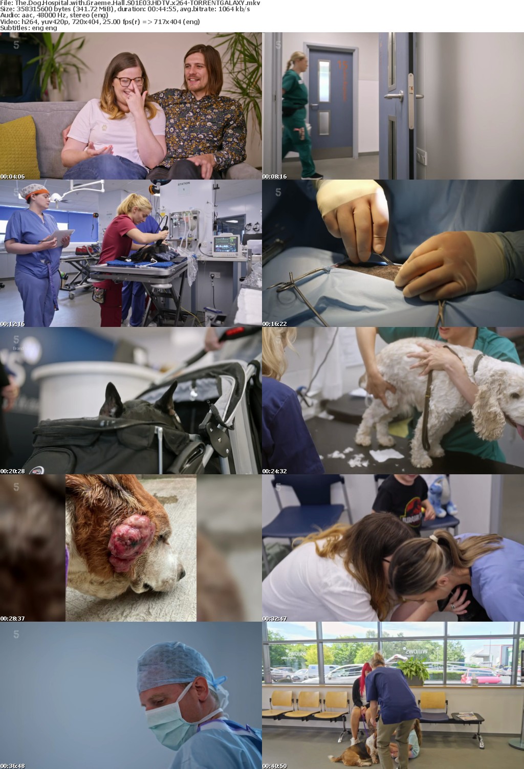 The Dog Hospital with Graeme Hall S01E03 HDTV x264-GALAXY