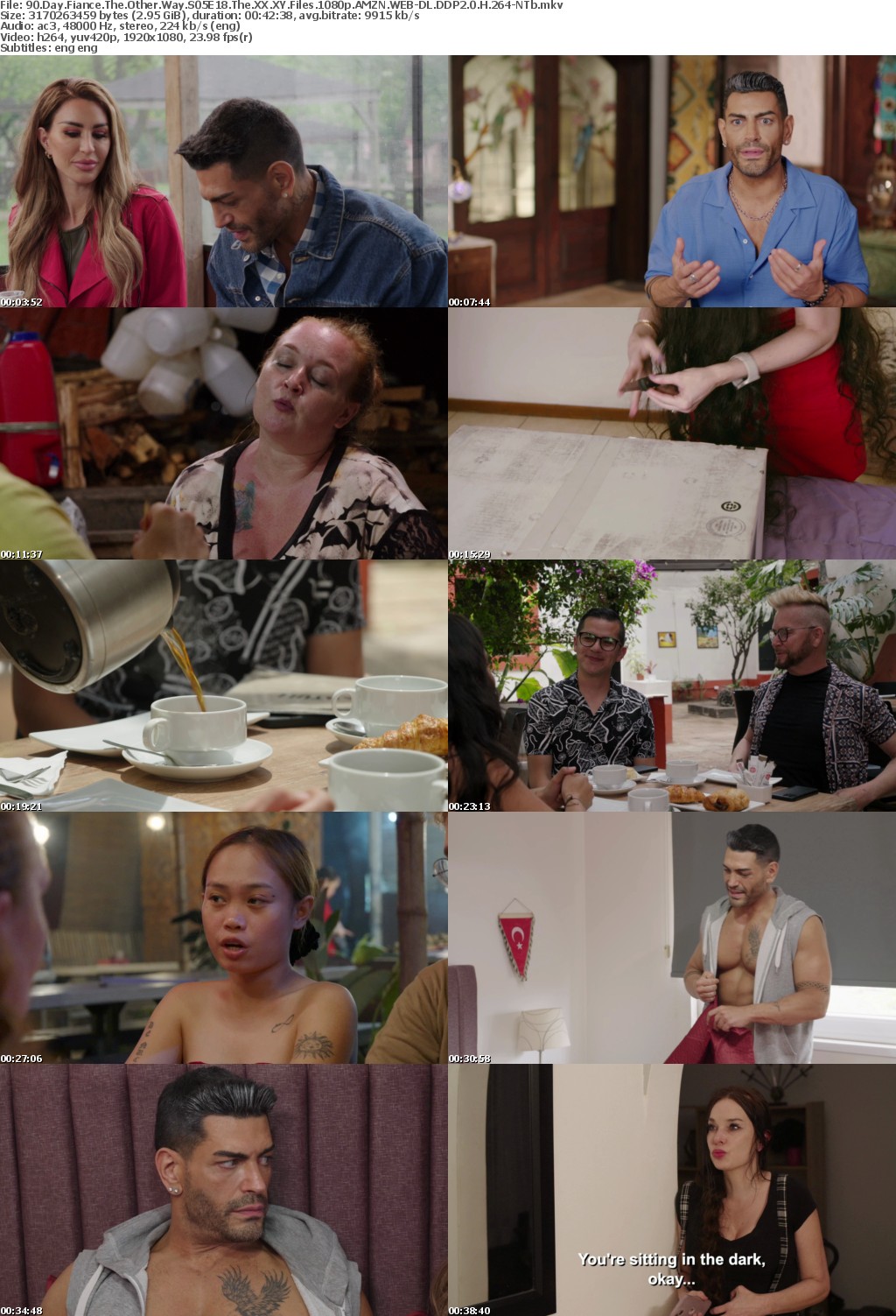 90 Day Fiance The Other Way S05E18 The XX XY Files 1080p AMZN WEB-DL DDP2 0 H 264-NTb